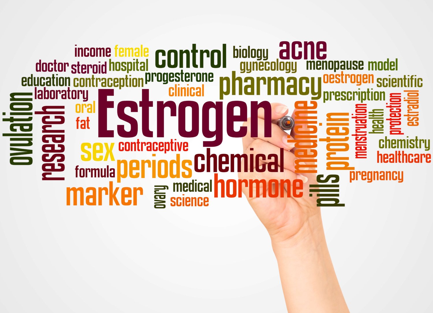 Estrogen Hormone Word Cloud